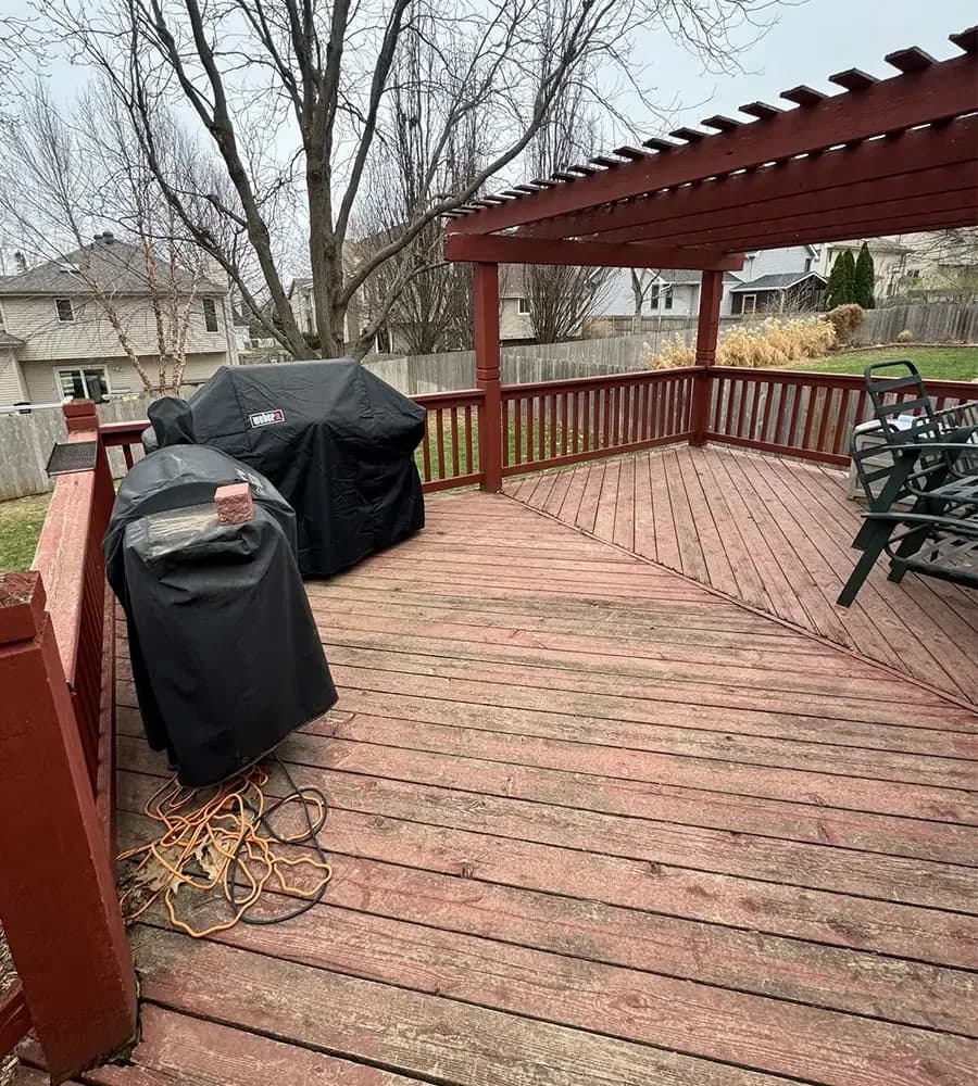 Bare Dirt to Finished Lawn — before